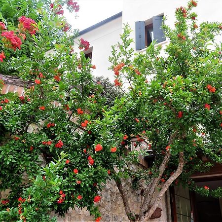 Locanda Alla Posta Borso del Grappa Kültér fotó
