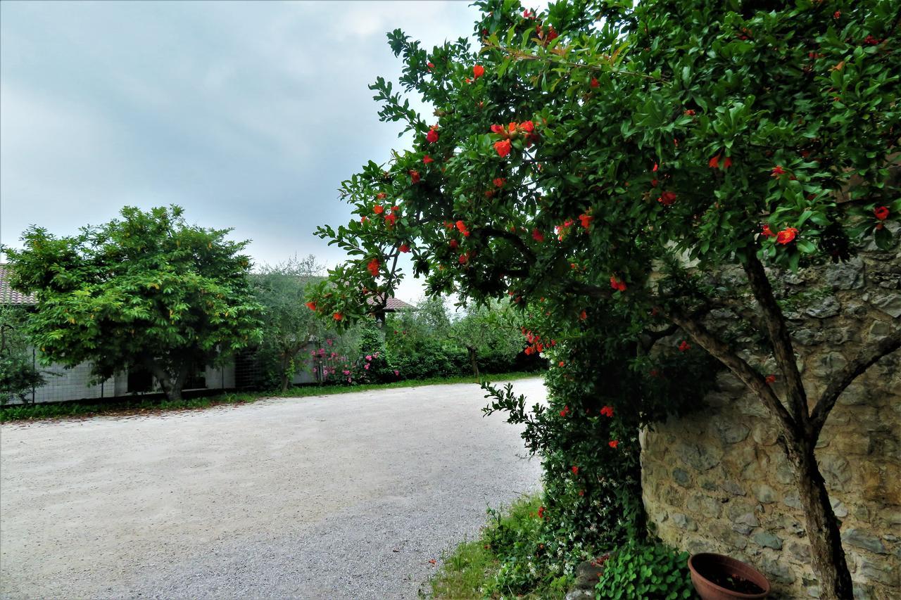 Locanda Alla Posta Borso del Grappa Kültér fotó